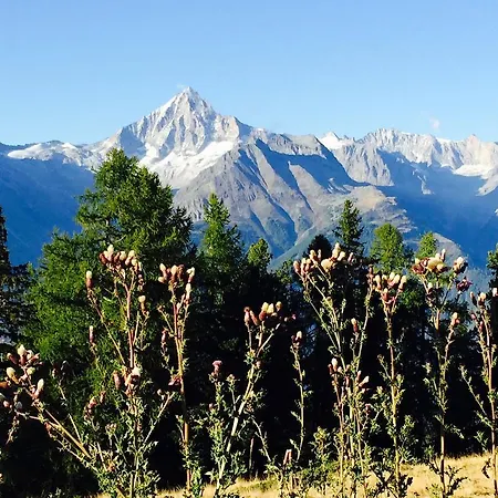 Studio 16 Haus Nesthorn Unterbach (Valais)